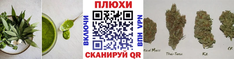 даркнет сайт  Тогучин  hydra рабочий сайт  Cannafood марихуана 