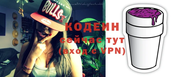 крисы Лабытнанги