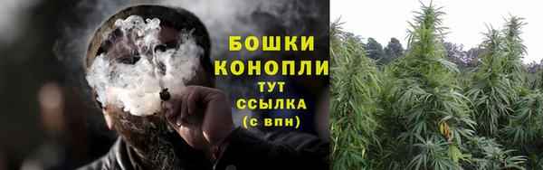 крисы Лабытнанги
