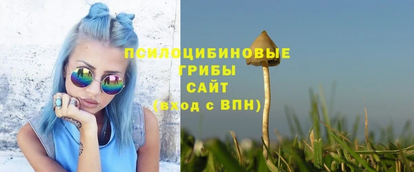 крисы Ладушкин