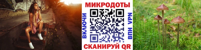 Галлюциногенные грибы мицелий  что такое   Тогучин 